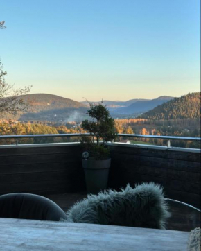 Chalet Villa Piscine vue panoramique sur Gérardmer et le Hohneck